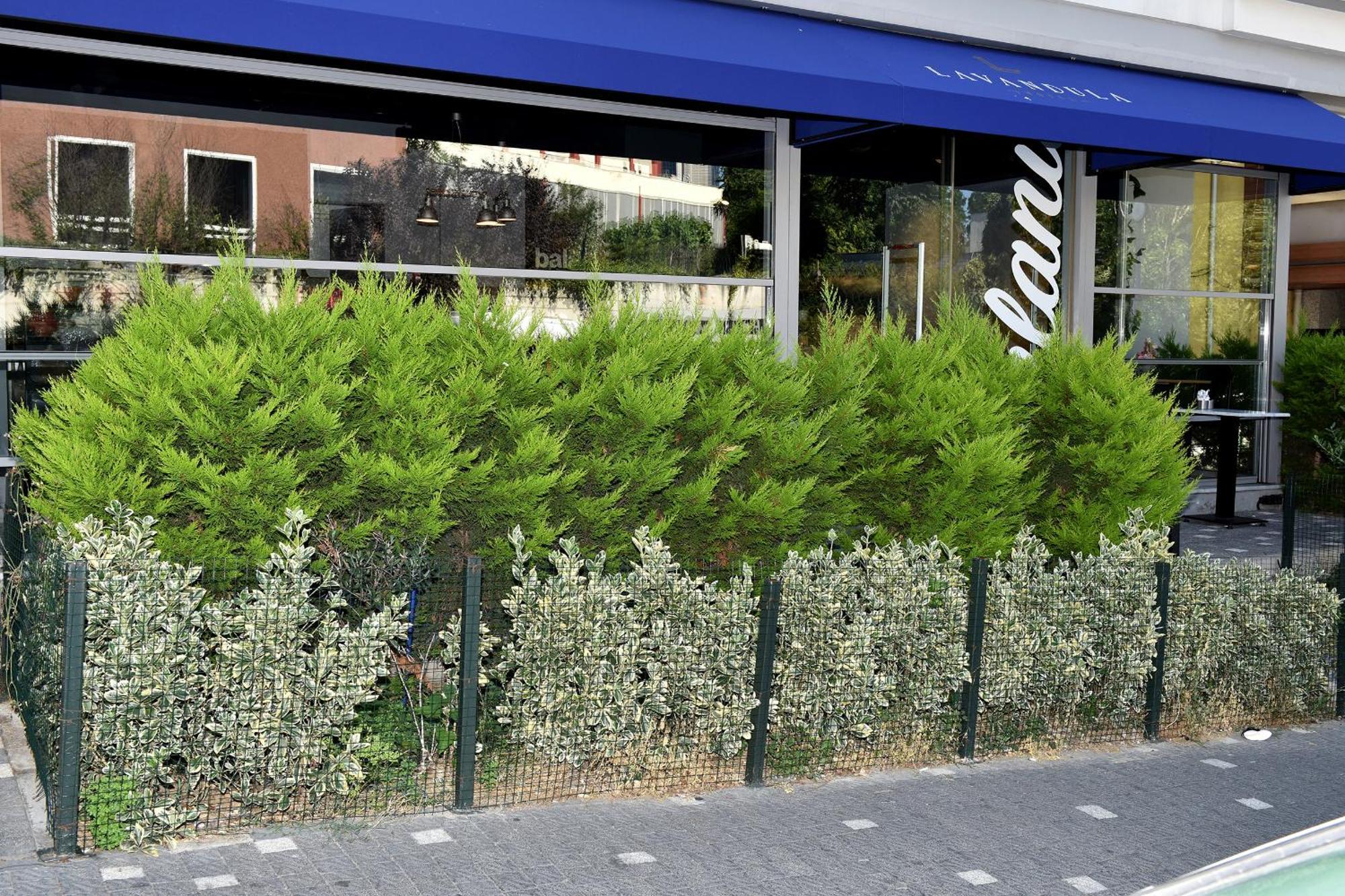 Levent Lavandula Hotel Istambul Exterior foto